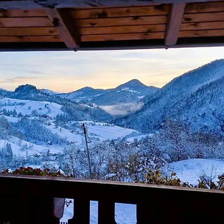 Drvene Kuce Suska - Wooden Suska Holiday home Zaovine