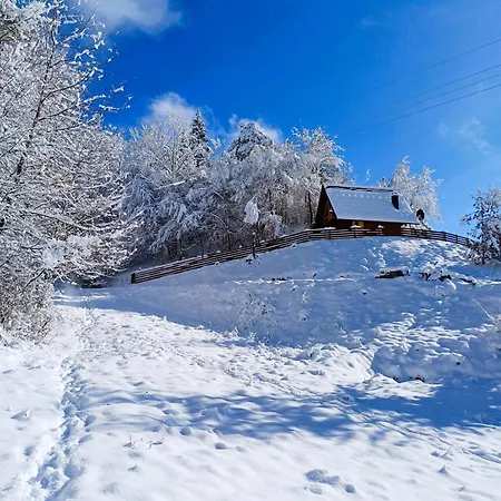 Holiday home Drvene Kuce Suska - Wooden Suska Zaovine