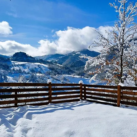 Drvene Kuce Suska - Wooden Suska Holiday home Zaovine